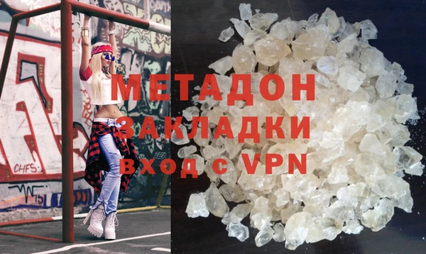 прущие грибы Вязьма