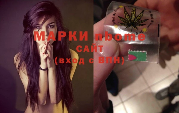 прущие грибы Вязьма