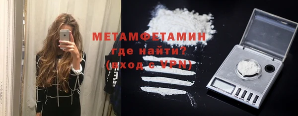 прущие грибы Вязьма