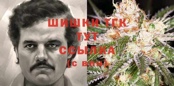 прущие грибы Вязьма