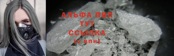 прущие грибы Вязьма