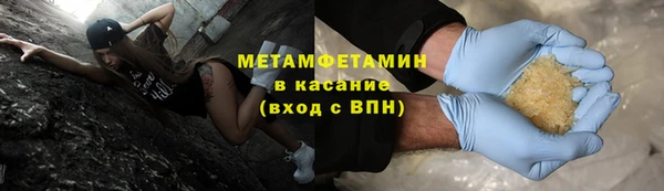 прущие грибы Вязьма