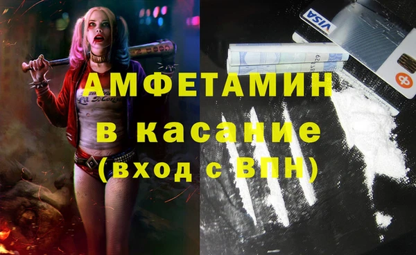 прущие грибы Вязьма