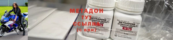 прущие грибы Вязьма