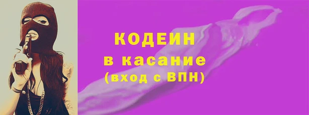 прущие грибы Вязьма