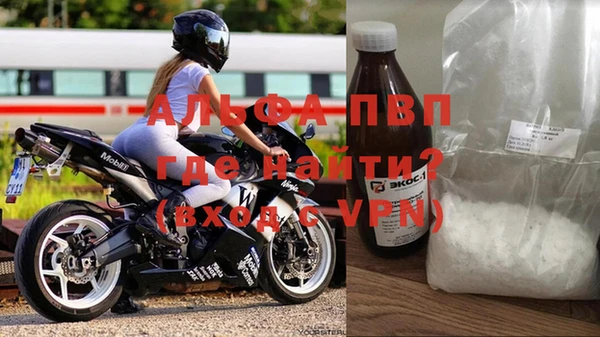 прущие грибы Вязьма