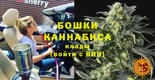 прущие грибы Вязьма