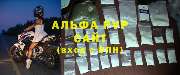 прущие грибы Вязьма