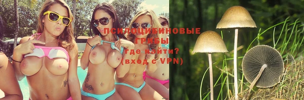 бошки Вязники
