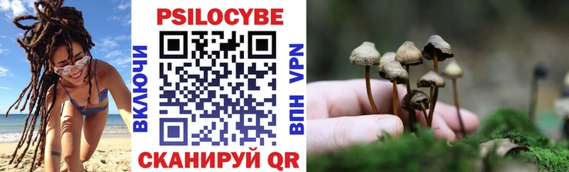 Галлюциногенные грибы ЛСД  Купить закладки  Завитинск 