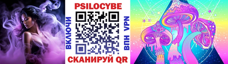 Псилоцибиновые грибы мицелий Завитинск